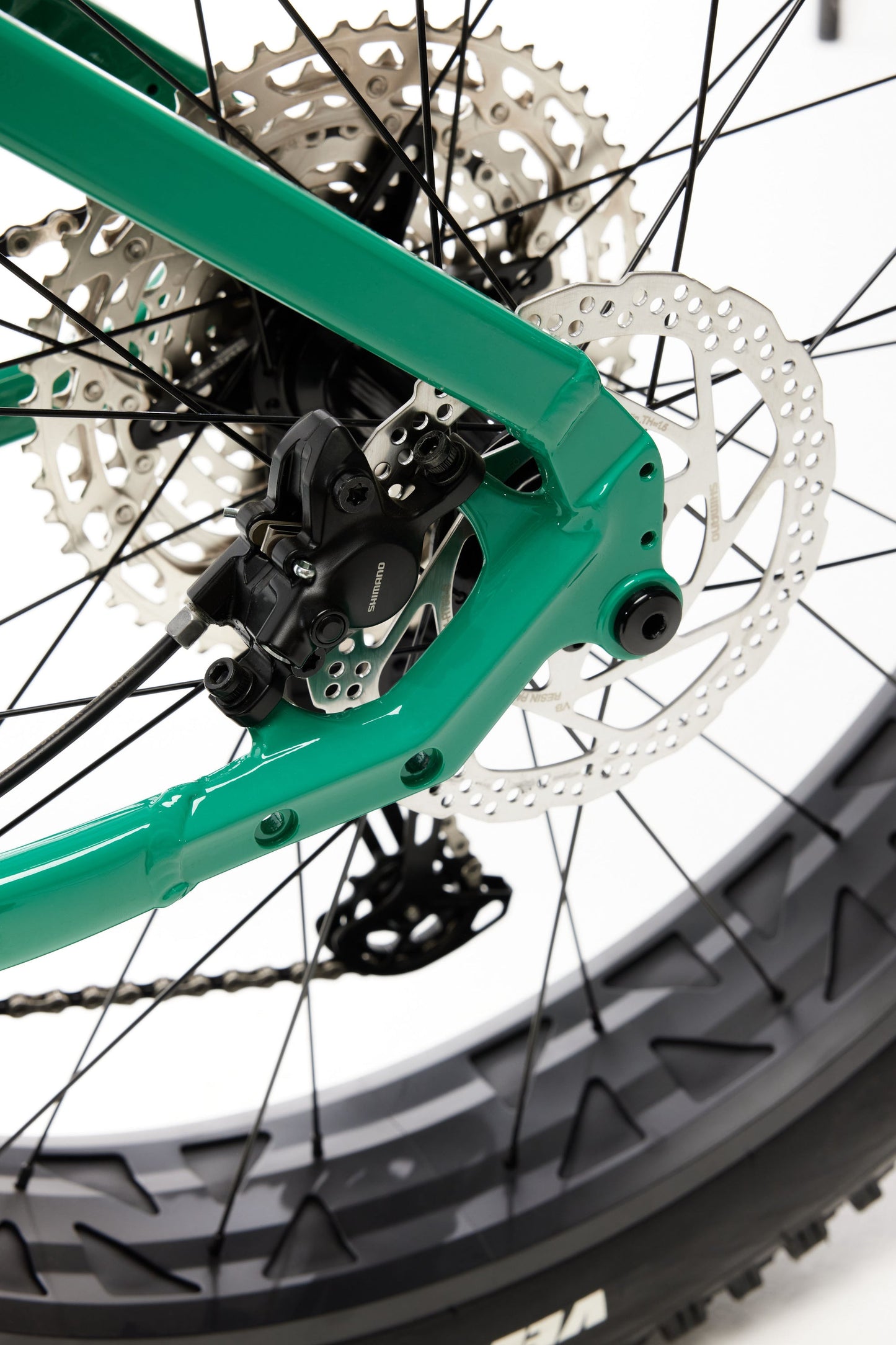 2025 Moose Fat Bike 2 (Green)