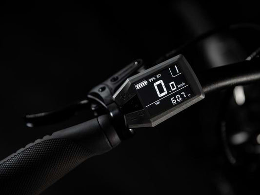 Devinci E-Milano HD Altus LG Graphite Blue